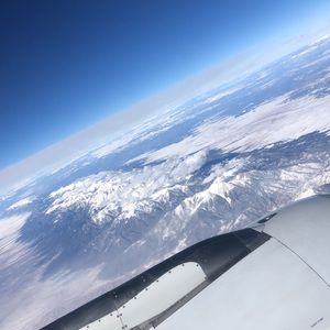 Meet your Posher, Carter